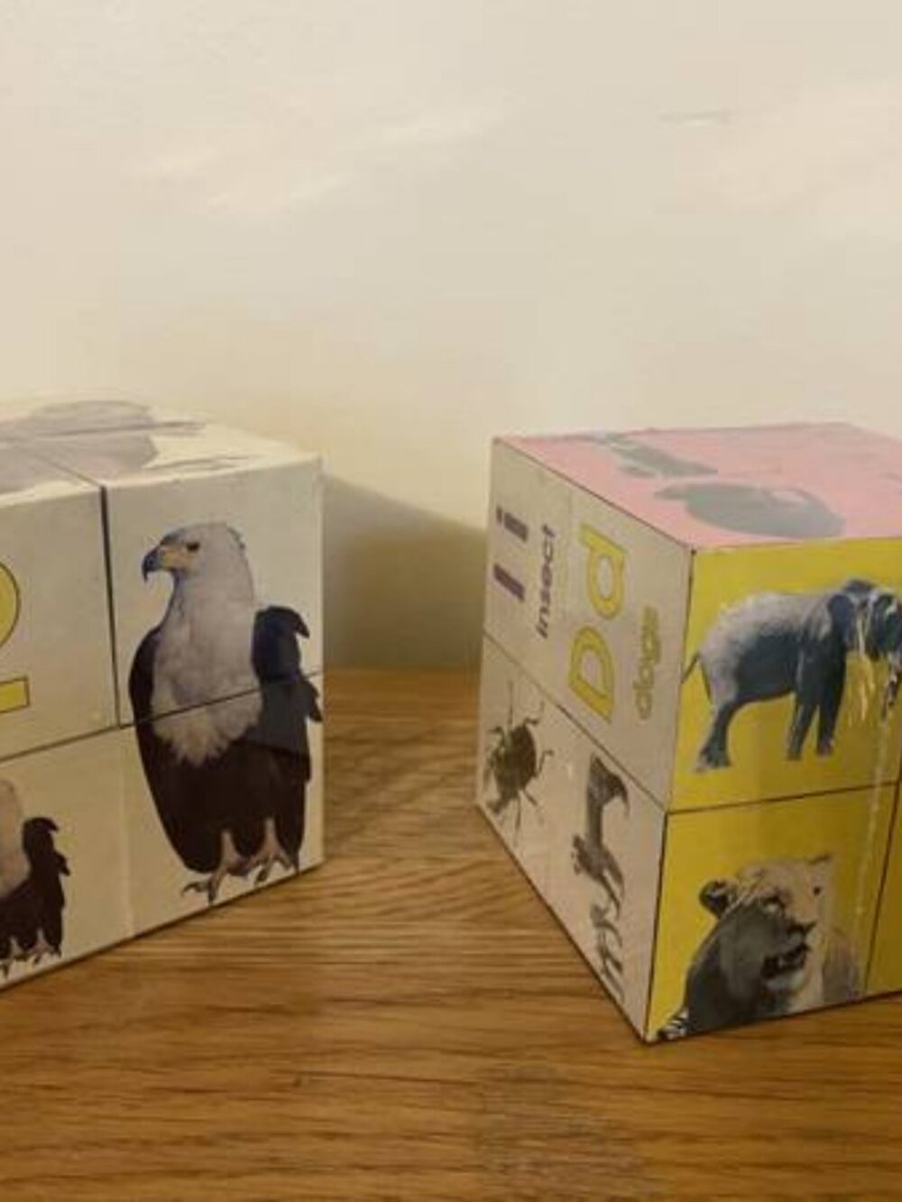 NEW ABC & 123 counting cubes by Bookcube